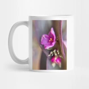 Macro Purple Mug